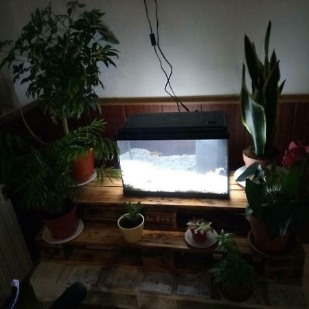 Hostal El Tropezon Матальяна-де-Вальмадригаль Экстерьер фото