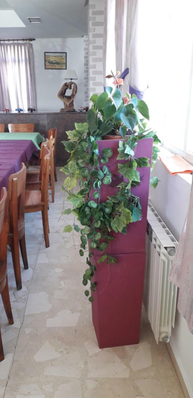 Hostal El Tropezon Матальяна-де-Вальмадригаль Экстерьер фото